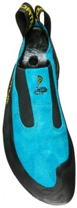 Cobra_2