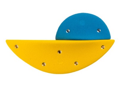 Dolphins_01_M