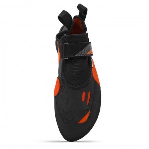 Shark_Top2_720x