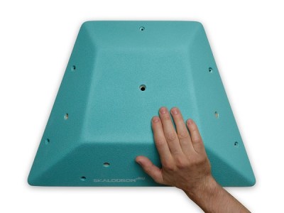 Turtle_M_A_Hand
