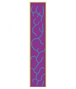 coral_reef_1